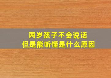 两岁孩子不会说话 但是能听懂是什么原因